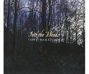 Tony Wakeford - Into The Woods