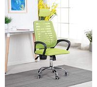 TONZN Sedia per Computer, Sedia ergonomica per Computer con Supporto Lombare, poggiatesta, Sedia Girevole con Schienale Alto, Sedia direzionale per Studio (Verde 48x74 cm (19x29 Pollici))