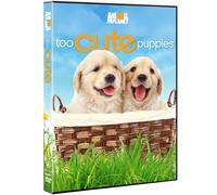 Too Cute Puppies [Edizione: Stati Uniti]