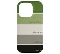 Too Gray per Romance Aromantic Paint Swatch Design Custodia per iPhone 14 Pro