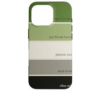 Too Gray per Romance Aromantic Paint Swatch Design Custodia per iPhone 16 Pro