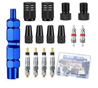 TOOINKCV 15 Pezzi Kit di Sostituzione Valvola Bici, Nucleo Valvola Bicicletta Presta, Nuclei Valvola Schrader, Cappucci Valvole, Adattatore Valvola Bici da Strada Strumenti Francese per