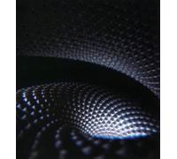 Tool - Fear Inoculum