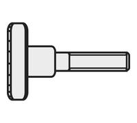 Toolcraft 189350 Pollice Viti din 464 Acciaio Galvanizzato M5 X 10mm Pacco 10
