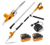 TOOLMAK Motosega a Batteria con AstaTelescopica 3m, Potatura Rami e Alberi | Sega Elettrica da Giardino 20V 4,0Ah, Lama 21 cm, Velocità Variabile (2 Batterie)