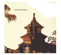Toop,David - Black Chamber