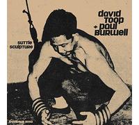 Toop David + Burwe Paul - Suttle Sculpture