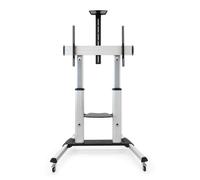 TooQ Partenón 2,54 m (100") Argento NEW