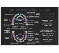 Tooth Numbering System Poster Reference Chart Canvas Wall-Art Clinic Office Home Print(Framed,12x18inch(30x45cm))