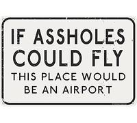 Toothsome Studios Targa divertente in latta con scritta "If A Holes Could Fly This Place would be an airport", 30,5 x 20,3 cm, per garage, casa, bar