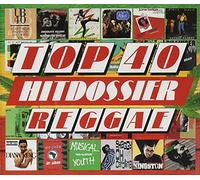 Various Artists Top 40 Hitdossier -.. (CD)