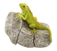 Top Collection Miniature Fairy Garden And Terrarium Iguana on Rock Statue