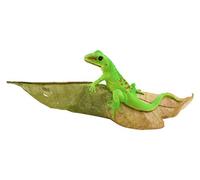 Top Collezione Miniature Fairy Garden e terrario Day Gecko on Leaf Statue