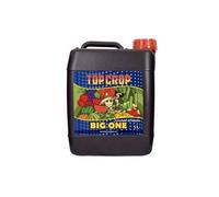 Top Crop - Big One | Stimolatore