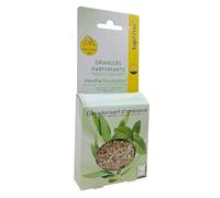 Top Filter 0720150 - Sacchetti di granuli profumati per aspirapolvere, aroma menta/eucalipto, verde