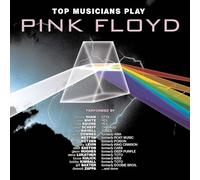 Top Musicians Play Pink Floyd