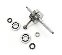 Top Performances Albero Motore Rinforzato Corsa 39.3mm PIAGGIO ZIP SP 50 2T