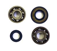 TOP PERFORMANCES KIT CUSCINETTI E PAROLI PER PIAGGIO APE 50 2T