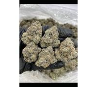 TOP SHELF CALI MARIHUANA ANBAUT: DER ULTIMATIVE LEITFADEN ZUR ZUCHT VON PREMIUM-CANNABIS