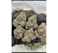 TOP SHELF CALI MARIHUANA ANBAUT: DER ULTIMATIVE LEITFADEN ZUR ZUCHT VON PREMIUM-CANNABIS