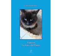 Topazio. La voce dal ponte