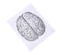 TOPBATHY 1 Pz Disegni anatomici grafico di anatomia del cervello umano anatomia umana vene dettagliato struttura manifesto anatomico grafico poster di anatomia tela in fibra chimica