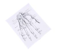 TOPBATHY 1 Pz Disegni Anatomici Poster Anatomico Anatomia Opere D'arte Anatomiche Mano Diagramma Opere D'arte Medica Stampe Anatomiche Manifesto Murale Tela in Fibra Chimica