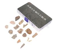 TOPBATHY 1 Set esemplare fossile arredamento per la casa sculture decorazioni per la casa corredo scientifico Decorazione della scrivania pietre arredamento in pietra scatola di plastica