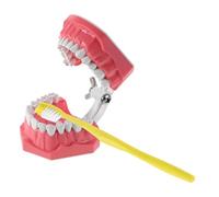 TOPBATHY 1 Set Modello Educativo per Spazzolatura Dei con Spazzolino Struttura Orale per Istituzioni Scolastiche e Uso Domestico Strumento Didattico Versatile e