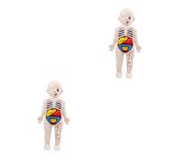 TOPBATHY 2 Set modello di organo umano oggetti di scena per gli organi del corpo anatomia del corpo umano puzzle di anatomia umana Organi del corpo per modello anatomico plastica