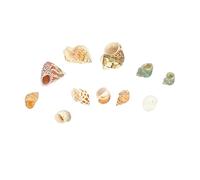 TOPBATHY 2 Set Ornamento della Conchiglia del Desktop Casa per granchi eremiti Arredamento Conchiglia Conchiglia Naturale Arredamento Conchiglia Acquario Ornamento da Tavolo Domestico