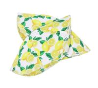 TOPBATHY 2pezzi Copertura per Ciotole da Microonde in Materiale Resistente Riutilizzabile Design Fantasie di Frutta Leggero e Portatile per Proteggere Ciotole Calde da Scottature Graffi