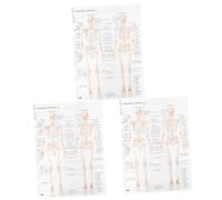 TOPBATHY 3 Pezzi Poster muscolare scheletrico anatomia del modello poster di anatomia poster umano scheletro strumenti di studio di anatomia e fisiologia anatomia umana panno di seta Beige