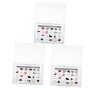 TOPBATHY 3 Scatole Campione di minerale calcolo Naturale casa Scrivania piccoli sassolini rocce pietre irregolari pietre per l'artigianato collezione di pietre scatola di plastica Colorato