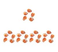 TOPBATHY 5 Set Guscio di Chiocciola Conchiglie Giganti Figura di Guscio di Lumaca Bocce Scodella Gusci Decorativi di Escargot Gusci di Lumaca Decorativi Guscio di Lumaca Naturale 5 Pezzi*5