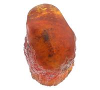 TOPBATHY Campione di scorpione fossile ambra campione di resina campione di insetti arredamento per la casa pietre d'ambra esemplare di insetto di pietra pietre uniche ornamento di insetti