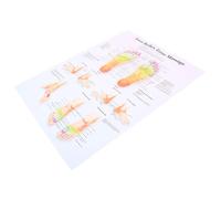 TOPBATHY Grafico Di Riflessologia Piede Soprammobili Decorazione Casa Adornare Decorazioni Per Ufficio Poster Per Il Massaggio Poster Sulla Conoscenza Del Massaggio Tela