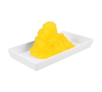 TOPBATHY Modello Dimostrativo Grasso Corporeo Base Strumento Educativo per Fisiologia Nutrizione Facile da Usare Sicuro per Studenti