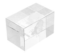 TOPBATHY Ornamenti Intagliati in Cristallo Modello Di Anatomia Cardiaca Arredamento Scientifico Modello Anatomico Modello Polmonare Patologico Decorazioni Scientifiche Transparent