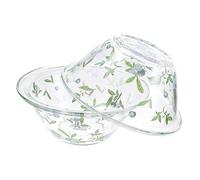 TOPBATHY Set da 2 Ciotole in Vetro Temperato per Insalata e Dessert, Insalatiere Trasparenti Resistenti al Calore, Ciotole da Cucina Impilabili per Frutta, Pasta e Macedonia