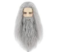 Topcosplay Parrucca con Barba Lunga Grigia/Bianco - Mago Ruprecht Stregone per Carnevale Halloween