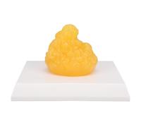 Topiky Replica di Grasso Corporeo Umano, Modello di Tessuto Adiposo 5lb | Modello anatomico dimostrativo del grasso, con espositore, per formazione nutrizionista e motivazione al fitness