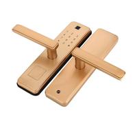 TOPINCN Blocco Porta con Scheda IC con Password Intelligente per Impronte Digitali per la Sicurezza Domestica, Sblocco Password Virtuale per Soggiorno in Famiglia, Colore Lega di Zinco, 15,7-23,6",