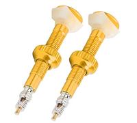 TOPINCN Estensore per Valvola Presta in Lega con Stelo Valvola Tubeless Resistente e Leggero per Mountain Bike 1 Paio (D'oro)