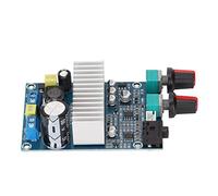 TOPINCN Modulo Amplificatore Digitale Efficiente Uscita Bassi Subwoofer da 100 W per Altoparlante Fai da Te Preamplificatore 12-24 V