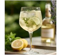 Topkapi Gin Momento Tonic, Vetro temperato, ~63 cl (~630 ml)