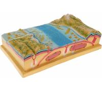 Topografia del fondale marino 3d e modello di visualizzazione tettonica a piastre, modello di insegnamento di geologia, dimostra la formazione di vulcano e terremoto