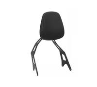 TOPOLVLCKC Per B&enda V4 DarkFlag 500 Sedile Passeggero Moto Telaio Di Supporto Schienale Posteriore Cuscino Accessori Montaggio Corrimano posteriore passeggero della motocicl