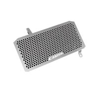 TOPOLVLCKC Per H*Onda per CB300R ABS CB300R CB250R ABS 2018-2021 Griglia di Protezione del Radiatore per Motocicletta Griglia Protezione radiatore Motore(CB250R Silver)