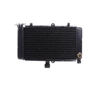 TOPOLVLCKC Per H*Onda per CBR250 MC22 CBR250RR NC22 CBR Accessori per Motociclette Radiatore Acqua Serbatoio Acqua Raffreddamento Ad Acqua Griglia Protezione radiatore Motore(Radiator)